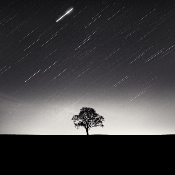 Photograph Uwe Langmann Universal Comfort on One Eyeland